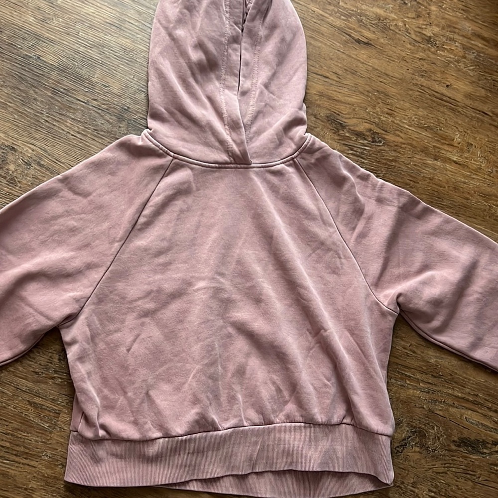 Light pink cropped hoodie from American Eagle